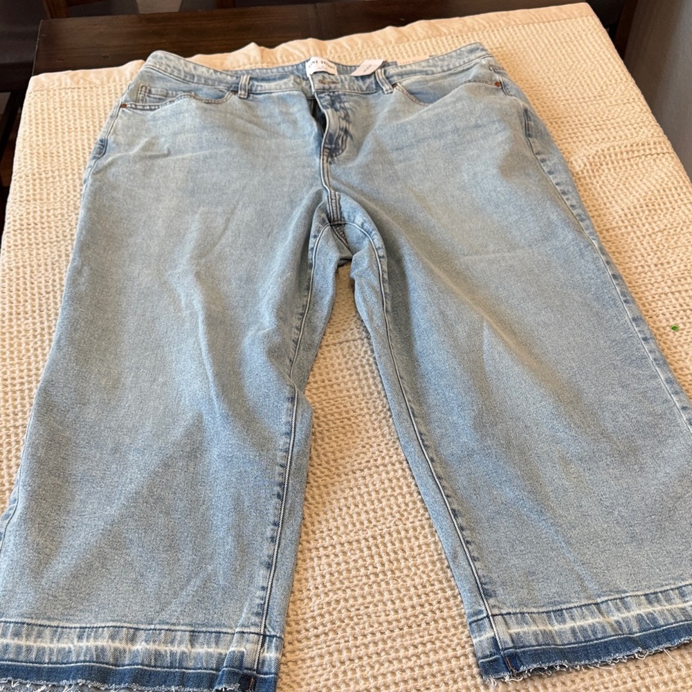 Women’s Plus Size Lane Bryant Light Blue Denim Wide Leg Ankle Jeans